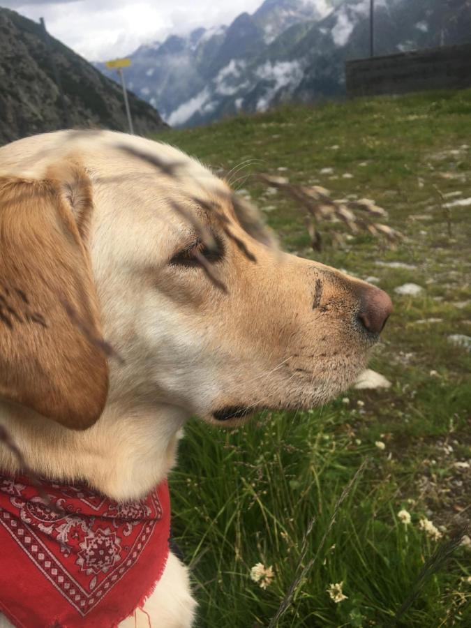 Pension Alpin マンダルフェン エクステリア 写真